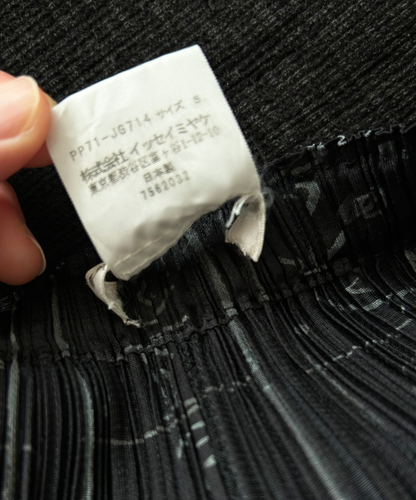 Issey Miyake Animation Frame Pleated Skirt