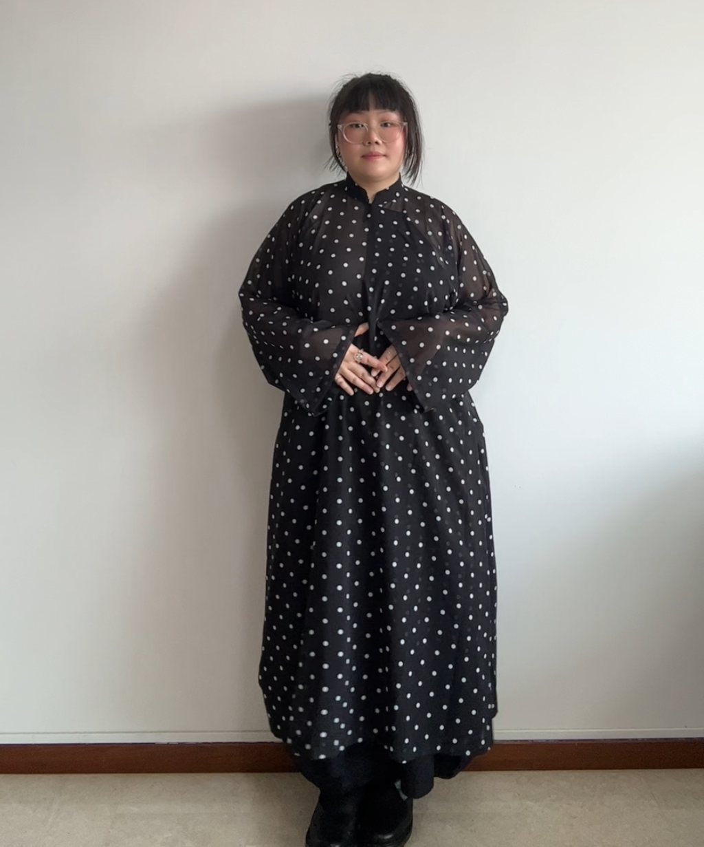 Comme des Garcons SS20 Mandarin Collar Polka Dot Sheer Dress (BNWT, Condition 10/10)