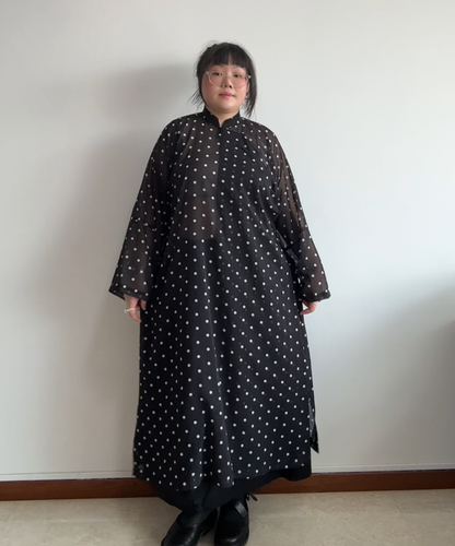 Comme des Garcons SS20 Mandarin Collar Polka Dot Sheer Dress (BNWT, Condition 10/10)