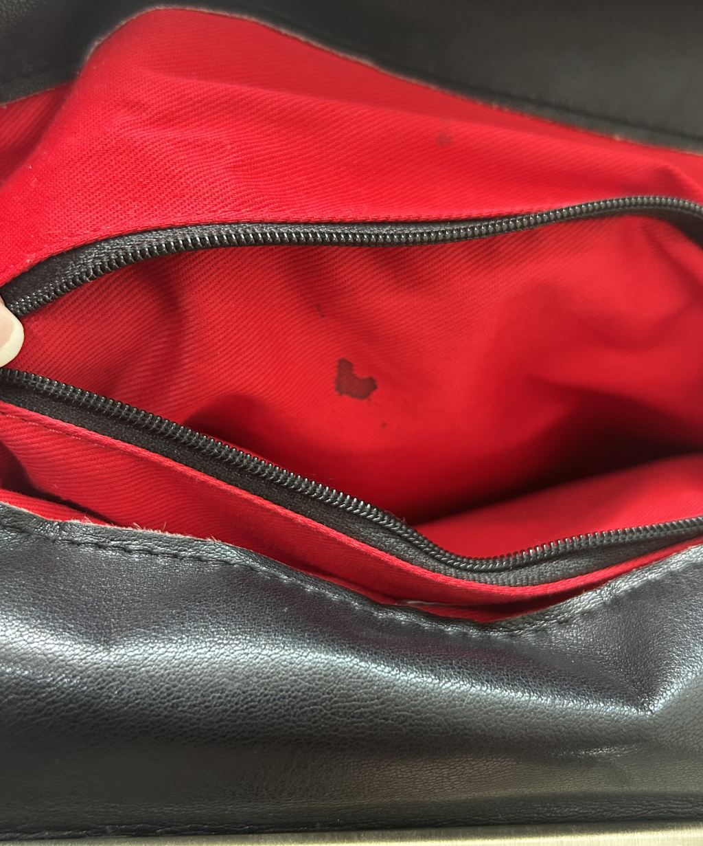 Kawa-Kawa kiss lock crossbody leather bag